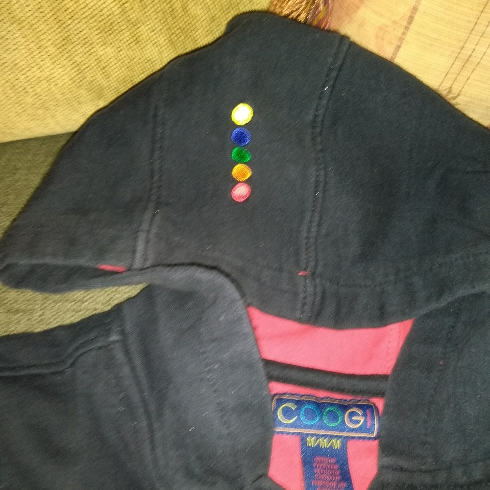 COOGI HOODIE - Picture 4 of 4